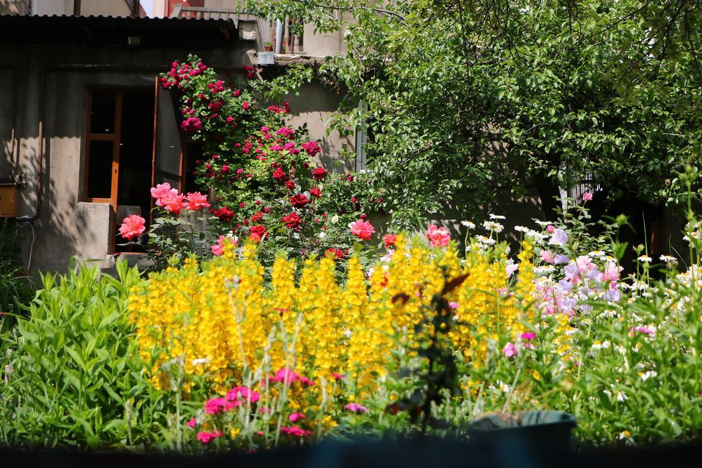 Hotel Mira Горис Екстериор снимка